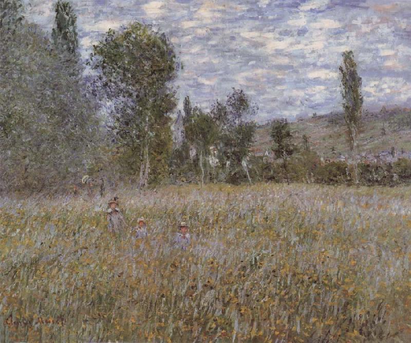 Claude Monet A Meadow Sweden oil painting art